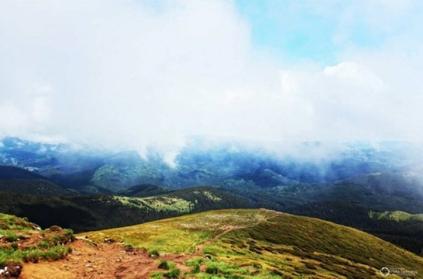 Максим Тарківський 41 «лайк»